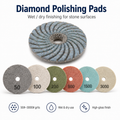 Diamond Polishing Pads